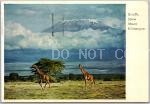 Giraffe, below Mount Kilimanjaro